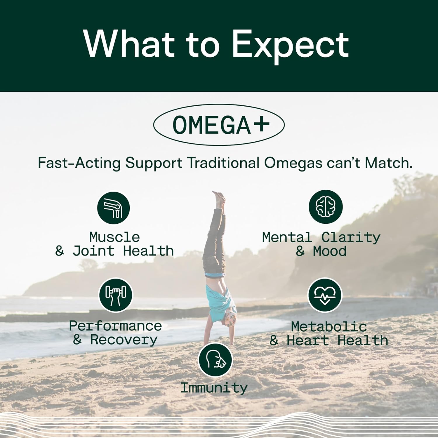 Adapt Naturals Omega 3 Fish Oil Supplement With Bioavailable Curcumin & Black Seed, 1500Mg Fish Oil Epa Dha Omega 3 Fatty Acids To Support Joints, Muscles & Heart | Unflavored - 60 Days Supply : Health & Household