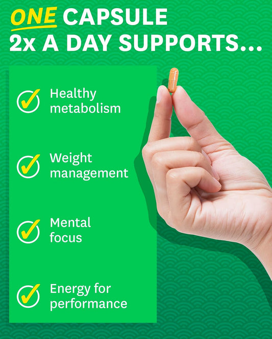 Zenwise Health Egcg Green Tea Extract Capsules - Mental Focus + Immune Health + Antioxidant + Heart Support With Green Coffee Bean For Energy & Metabolism Boost - 120 Ct