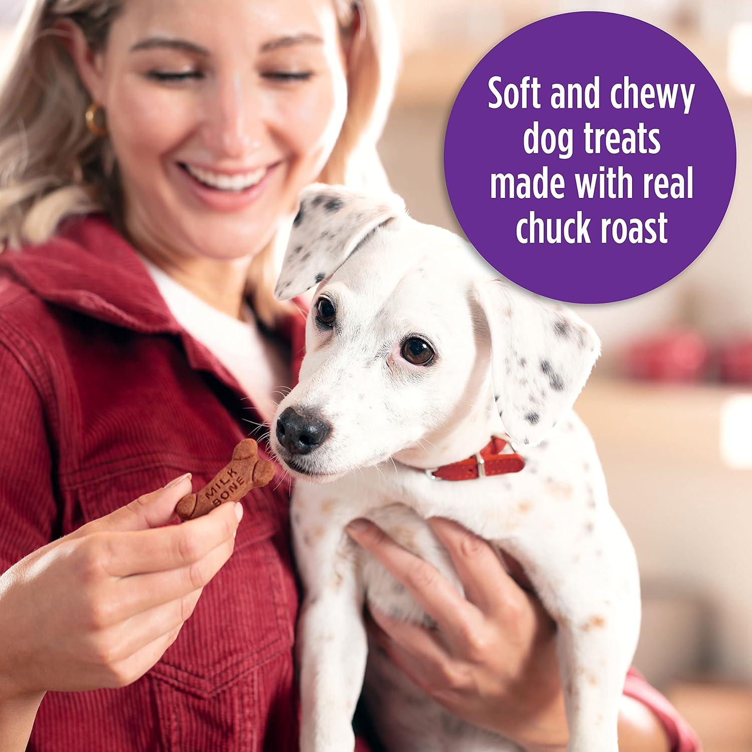 Milk-Bone Soft & Chewy Dog Treats, Beef & Filet Mignon Recipe, 25 Ounce Made with Real Chuck Roast : Pet Treat Biscuits : Pet Supplies