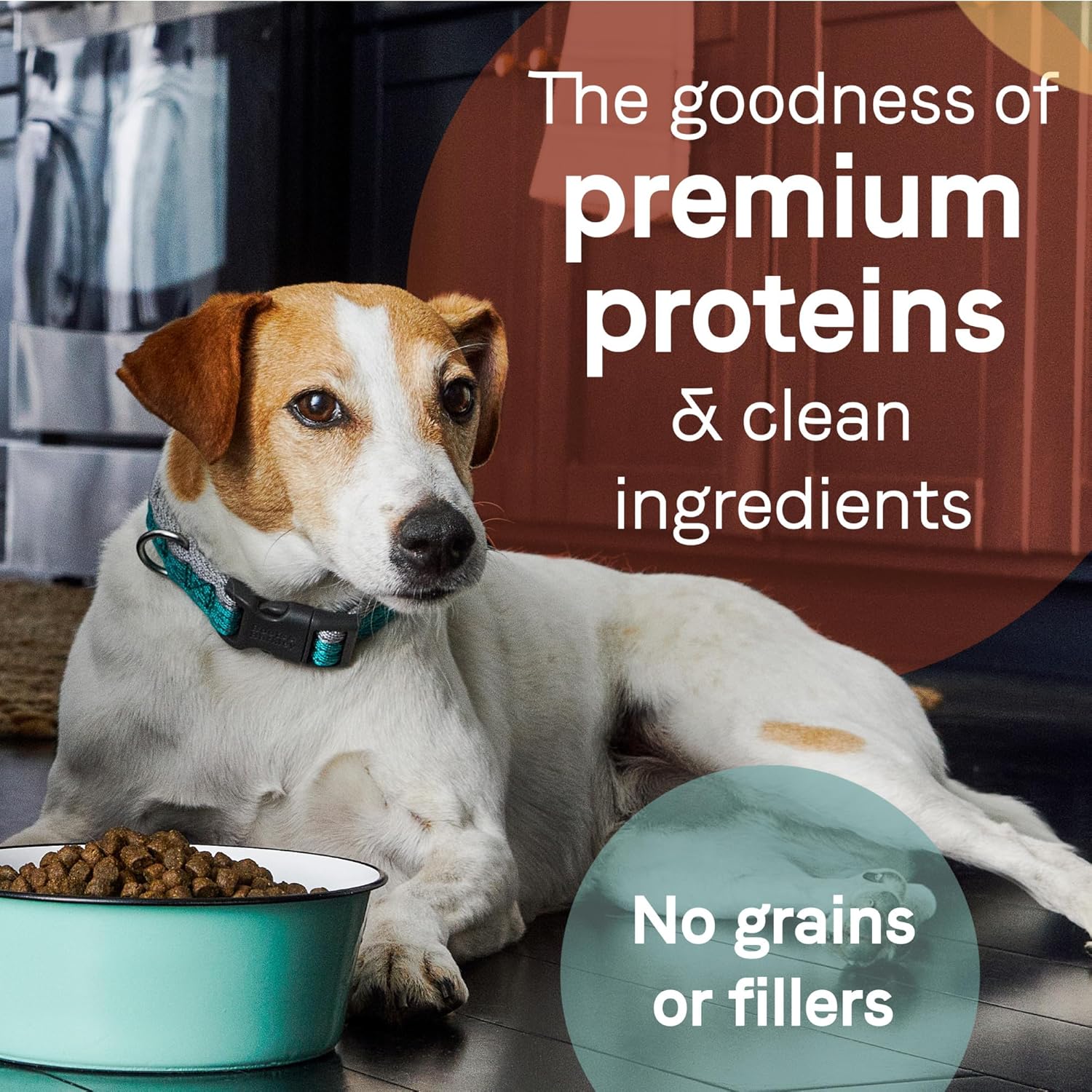 Canidae Pure Grain Free Adult Dry Dog Food, Real Duck & Sweet Potato, 4 lbs. : Pet Supplies