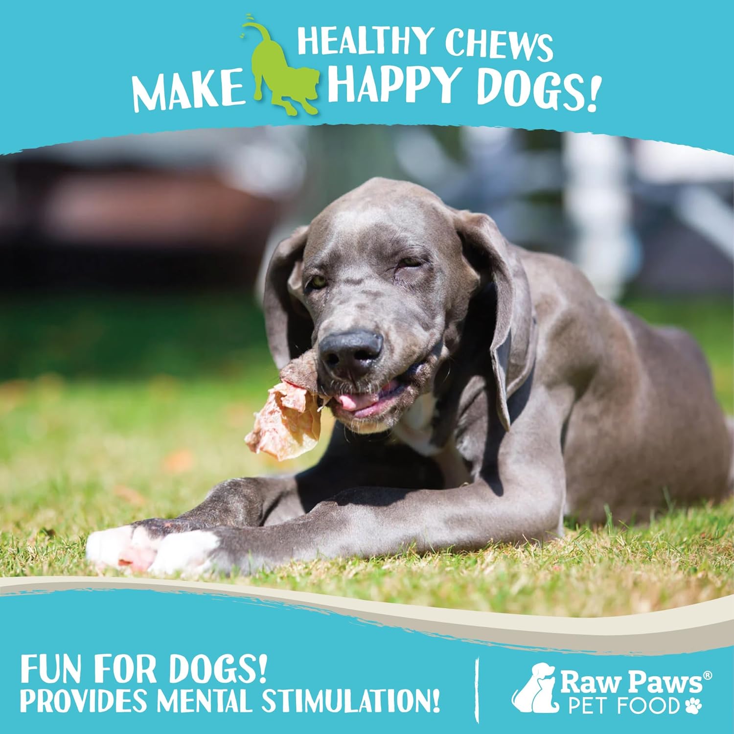 Raw Paws Large Lamb Ears for Dogs, 15 Pack - Packed in USA - All Natural Lamb Rawhide Alternative - Real, Grain Free, Single Ingredient Lambs Ear Chews for Dogs - Crunchy Sheep Lamb Ears Dog Treats : Pet Supplies