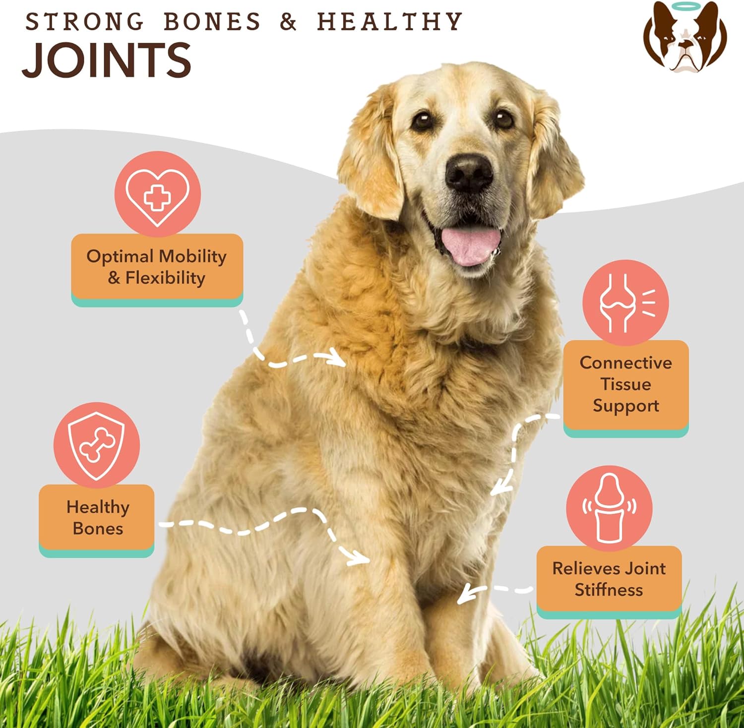 Healthy Joints, Skin and Coat Bundle for Dogs, Includes (1) 16 oz Bottle Natural Dog Company Skin and Coat Oil, (1) 16 oz Bottle Liquid Glucosamine, Food Topper, Dog's Fish Oil Supplement : Pet Supplies