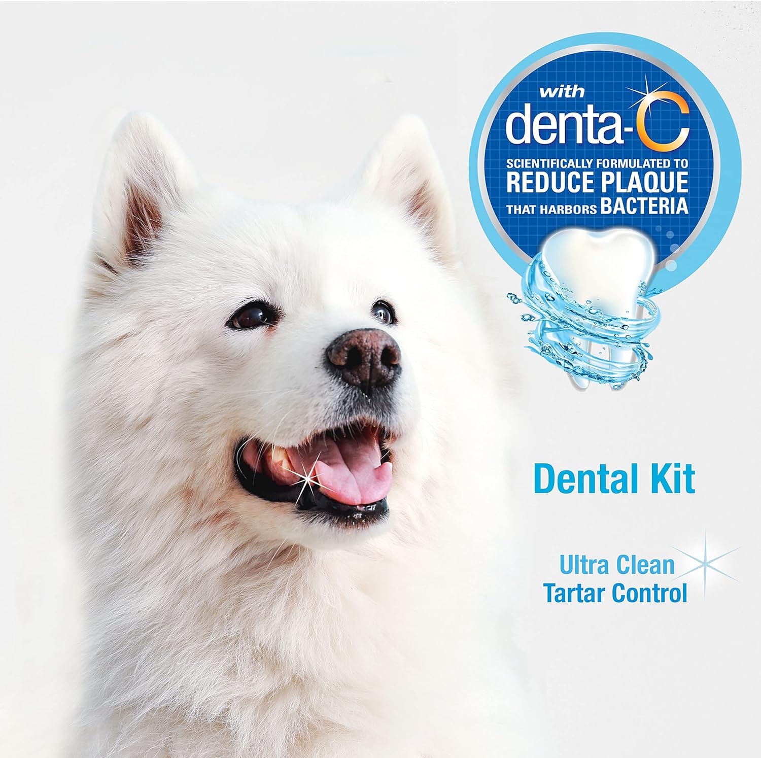 Nylabone Advanced Oral Care Dog Dental Kit Original Flavor 2.5 oz. : Pet Toothbrushes : Pet Supplies