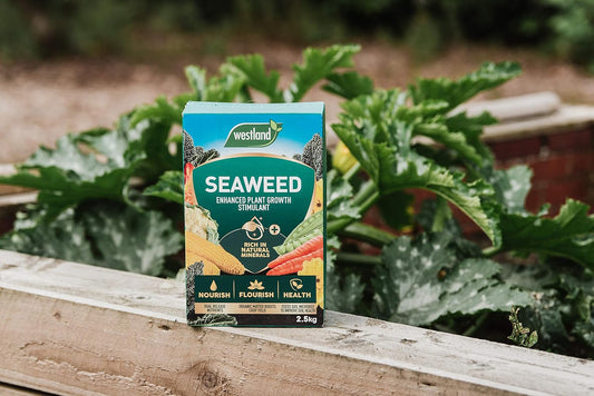 Westland Seaweed Enhanced Plant Growth Stimulant, 2.5 kg