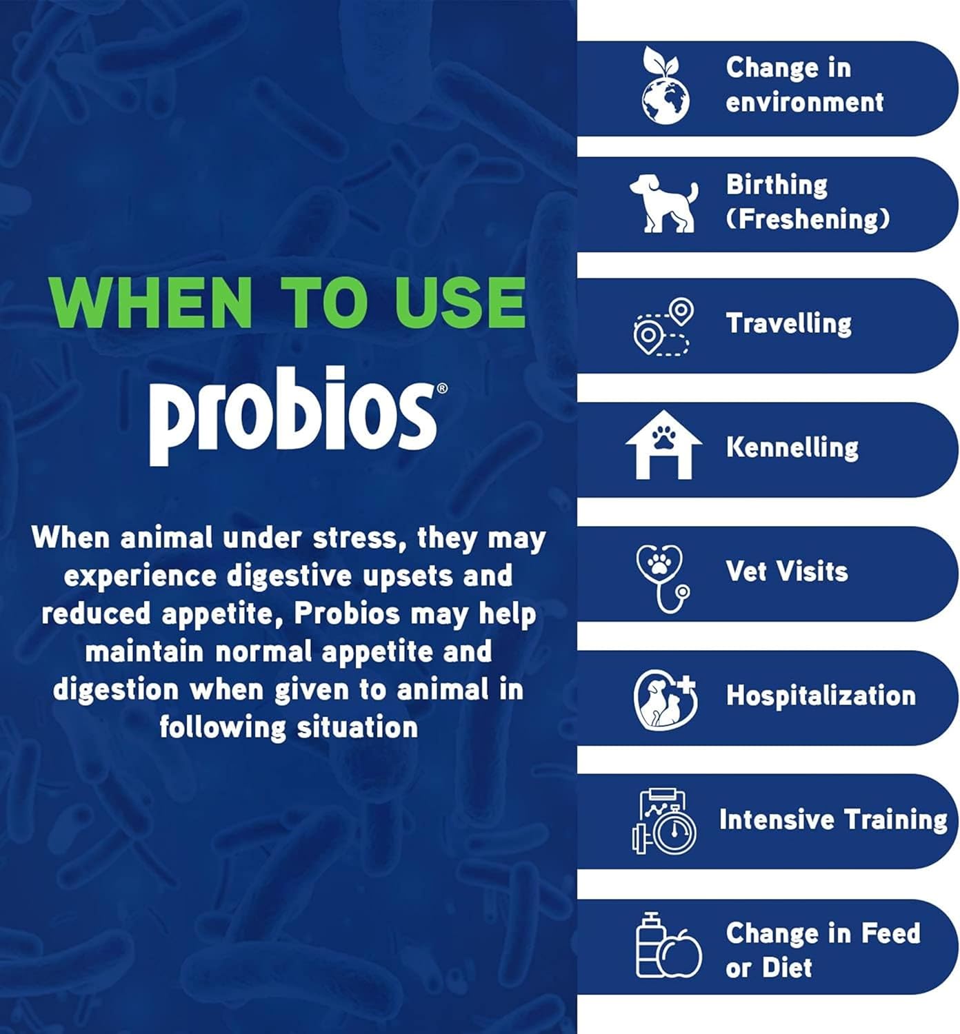 Probios Vet Plus Dispersible Digestive Powder, 240gm : Pet Probiotic Nutritional Supplements : Pet Supplies