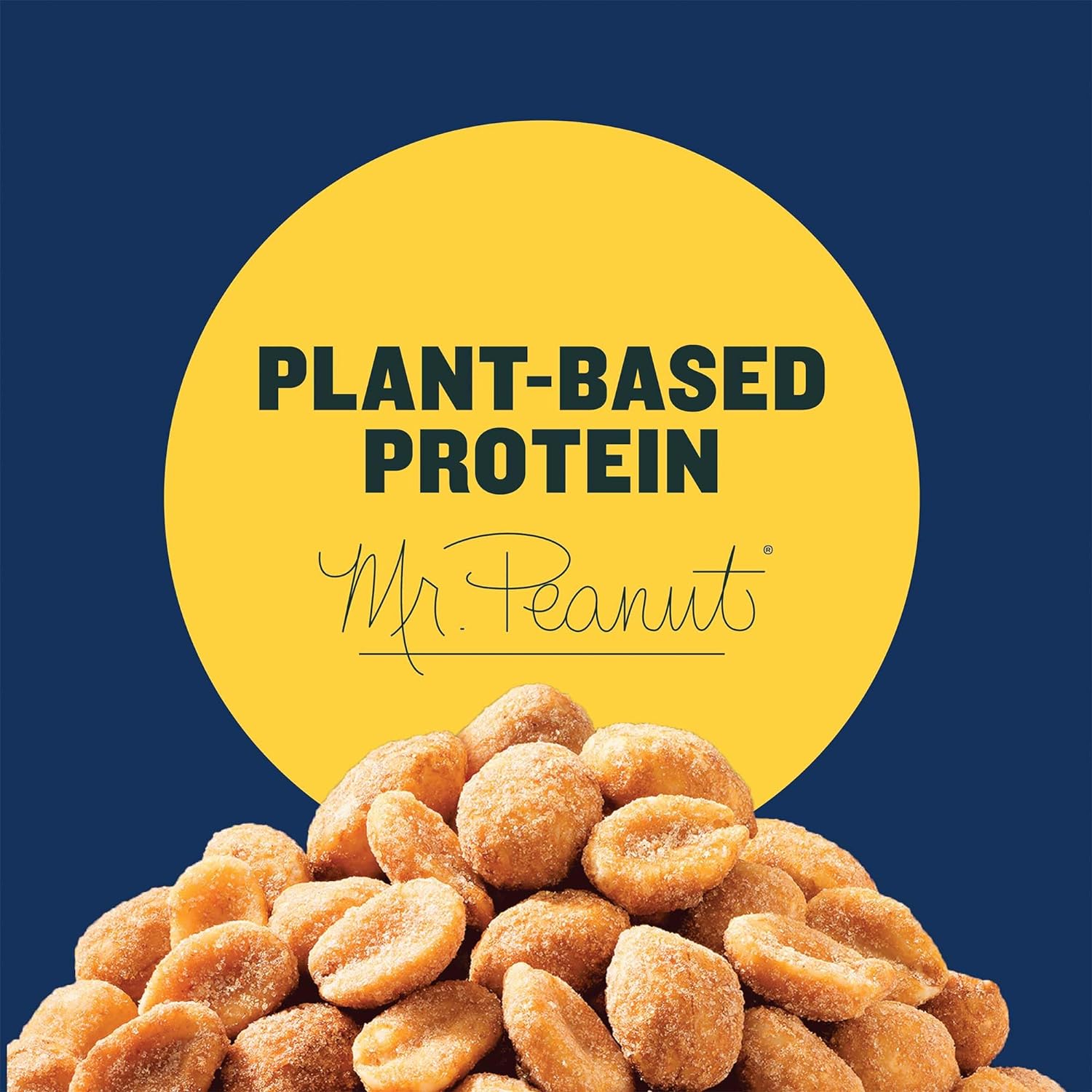 Planters Dry Roasted Bold & Savory Peanuts, Party Snacks, Plant-Based Protein, 16 Oz Jar