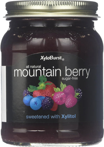 Xyloburst Sugar Free Mountain Berry Xylitol Jam Keto Friendly & Gluten