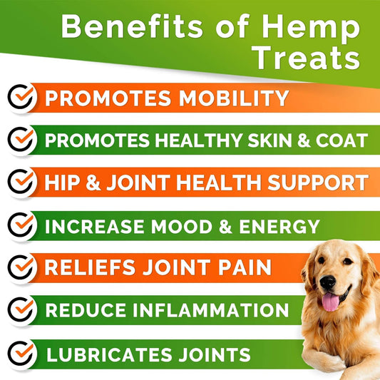 Hemp Hip & Joint Supplement for Dogs - Made in USA - Glucosamine - MSM - Turmeric - Hemp Seed Oil Infused Treats - Natural Joint Pain Relief & Mobility - 120 Soft Chews