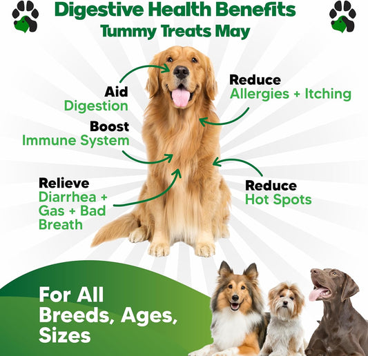 Probiotics for Dogs All Ages - Dog Probiotics for Digestive Health - Digestive Enzymes for Gut Flora, Diarrhea & Bowel Support - Gut Health Support Prebiotics for Dogs - 90 Probiotic Chews for Dogs