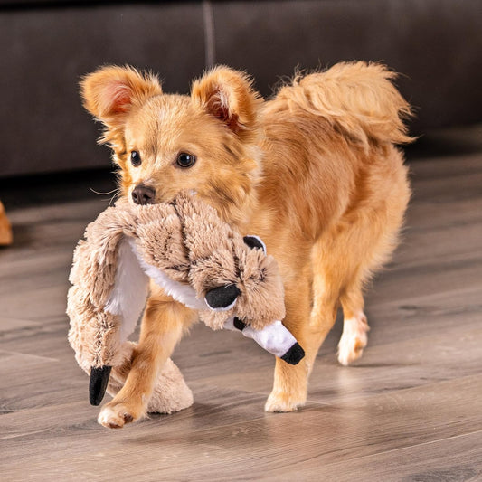Pet Factory Rugged Stuffless Squeaky Plush Dog Toy, Randomly Selected - Skunk/Raccoon/Fox, One Size