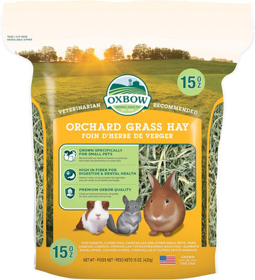 Oxbow Animal Health Orchard Grass Hay - All Natural Grass Hay For Chinchillas, Rabbits, Guinea Pigs, Hamsters & Gerbils - 15 Oz