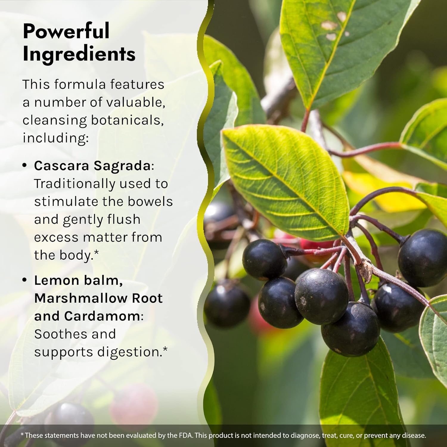 Irwin Naturals 2-In-1 Cleanse & Flush Weight Loss Support - 60 Liquid Soft-Gels - Flushes Digestive Tract & Reduces Bloating - 30 Total Servings : Health & Household