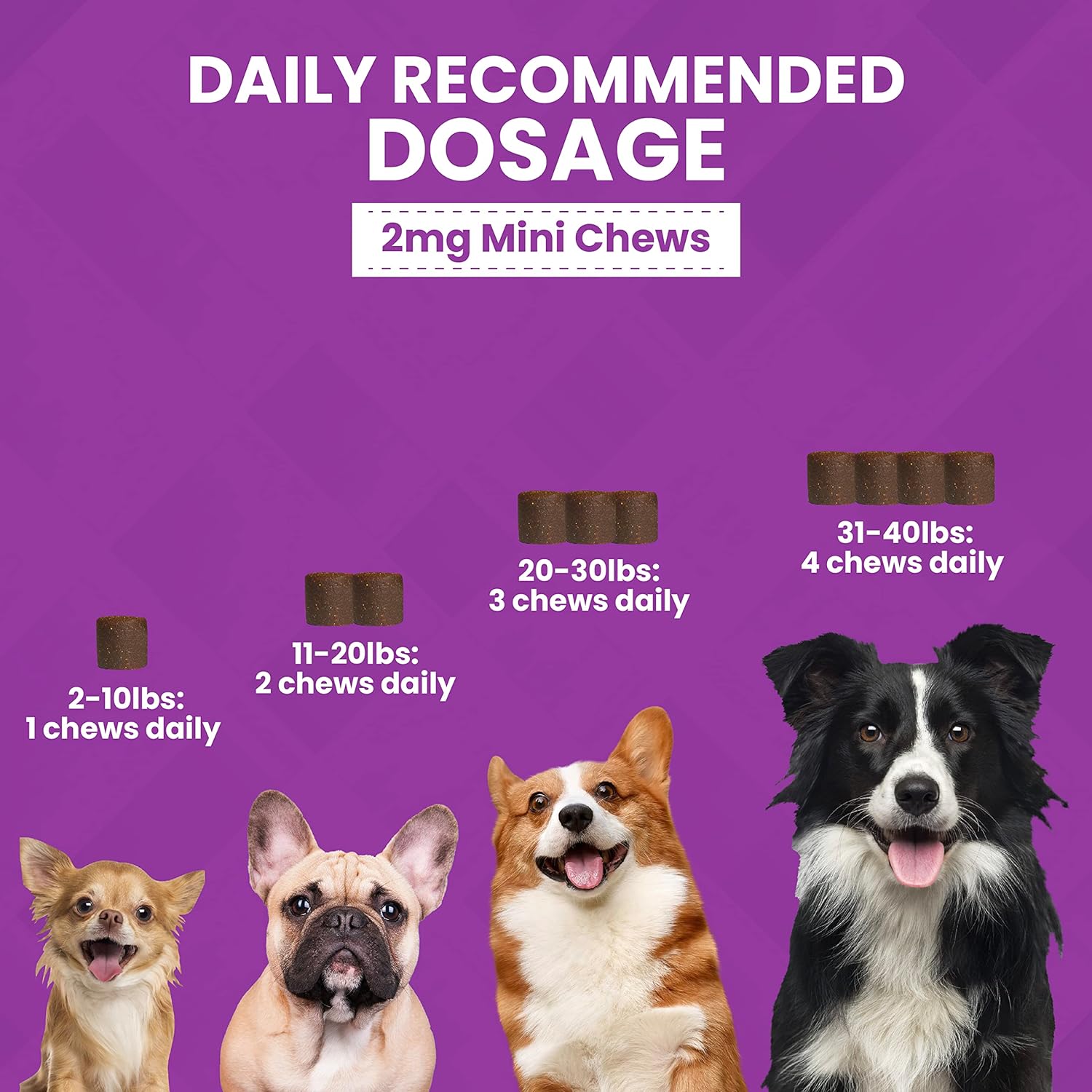 Nootie Progility Mini Calming Aid, Calming Chews for Dogs for Stress and Anxiety Relief, 60 Soft Chews per Container : Pet Supplies