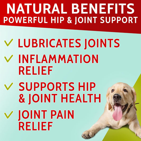 Hemp + Glucosamine Treats for Dogs - Made in USA Hip & Joint Supplement w/Hemp Oil Chondroitin MSM Turmeric - Natural Pain Relief - All Breeds Sizes - 120 Soft Chews