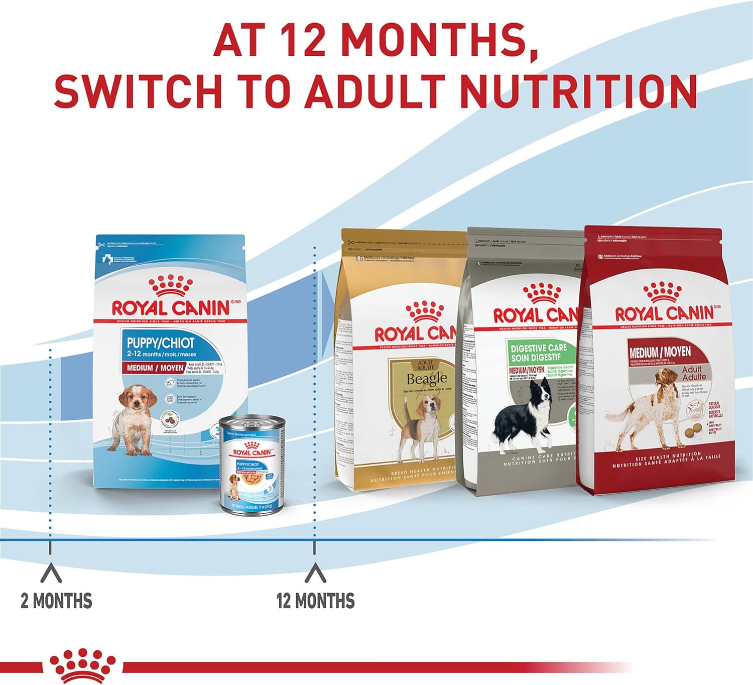 Royal Canin Size Health Nutrition Medium Breed Dry Puppy Food, Supports Brain Development, Immune Support and Digestive Health, 17 lb Bag : Pet Supplies