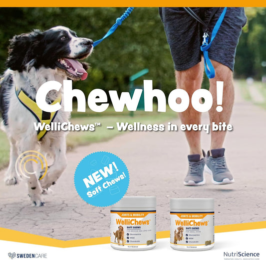 Wellichews Glucosamine for Medium & Large Dogs | Dog Joint Supplement with Glucosamine, Chrondroitin & MSM - Inflammatory Pain Relief Soft Chews for Hip & Joints - 60 Soft Chews?FP0435