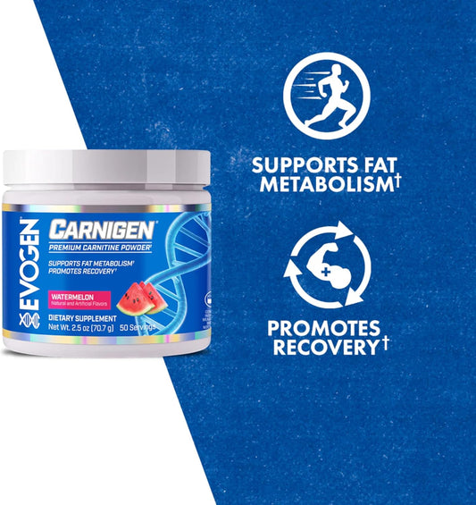 Evogen Carnigen - Premium Carnitine Powder | Supports Fat Metabolism & Promotes Recovery | Stimulant-Free L Carnitine Supplement Matrix With Acetyl L-Carnitine | Watermelon | 50 Servings