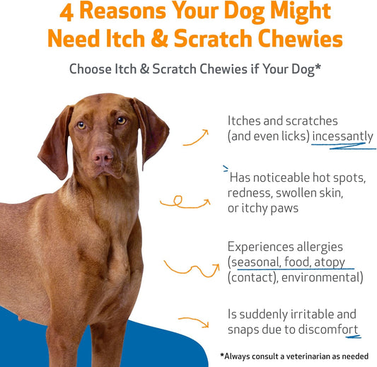 Pet Wellbeing Itch & Scratch Chewies Or Dogs - Vet-Formulated - Itchy Skin & Paws, Hot Spots, Redness - 90 Soft Chews