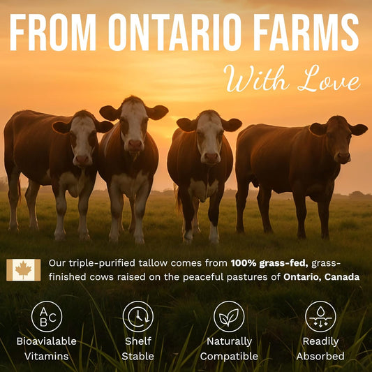 Grass-Fed Beef Tallow And Manuka Honey Balm, Eczema Face & Body Cream, Moisturizer For Dry Skin With Shea Butter, Almond & Jojoba Oil, Beeswax, Arrowroot, Vitamin E - Unscented - Made In Canada, 2 Oz