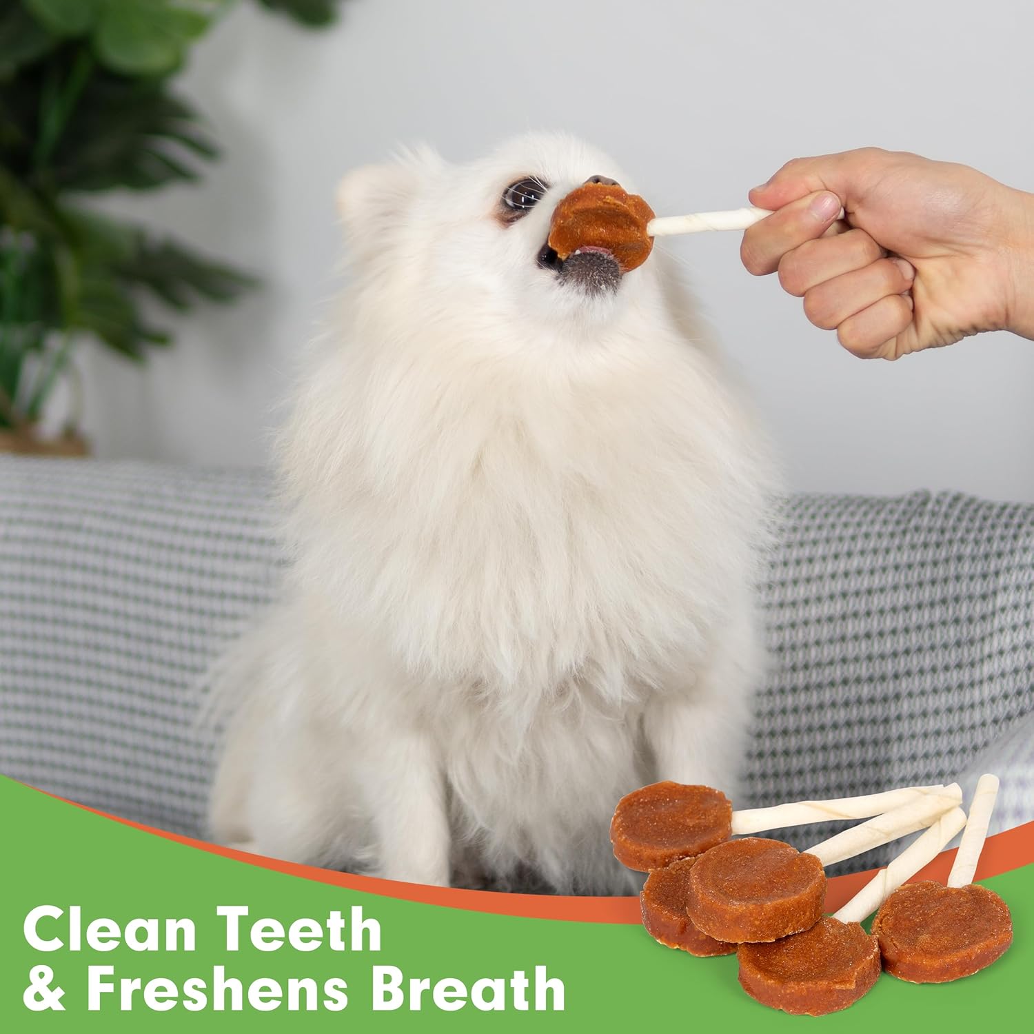 MON2SUN Lollipop Dog Treats, 4.5 Inch Chicken and Egg with Rawhide Twist Sticks, Healthy and Teeth Cleaning Dog Snacks for Small Dogs, 10.58oz (15 Count-Pack of 1) : Pet Supplies