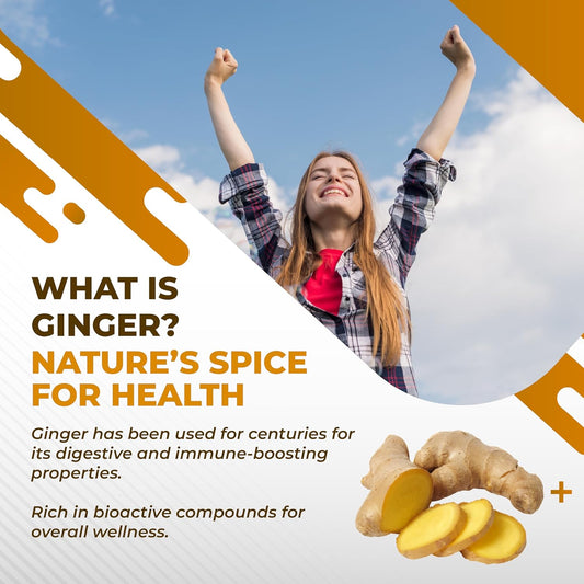 Liposomal Ginger Peppermint Turmeric Elderberry - Support Digestion Health, Immune System - Made And Tested In The Usa