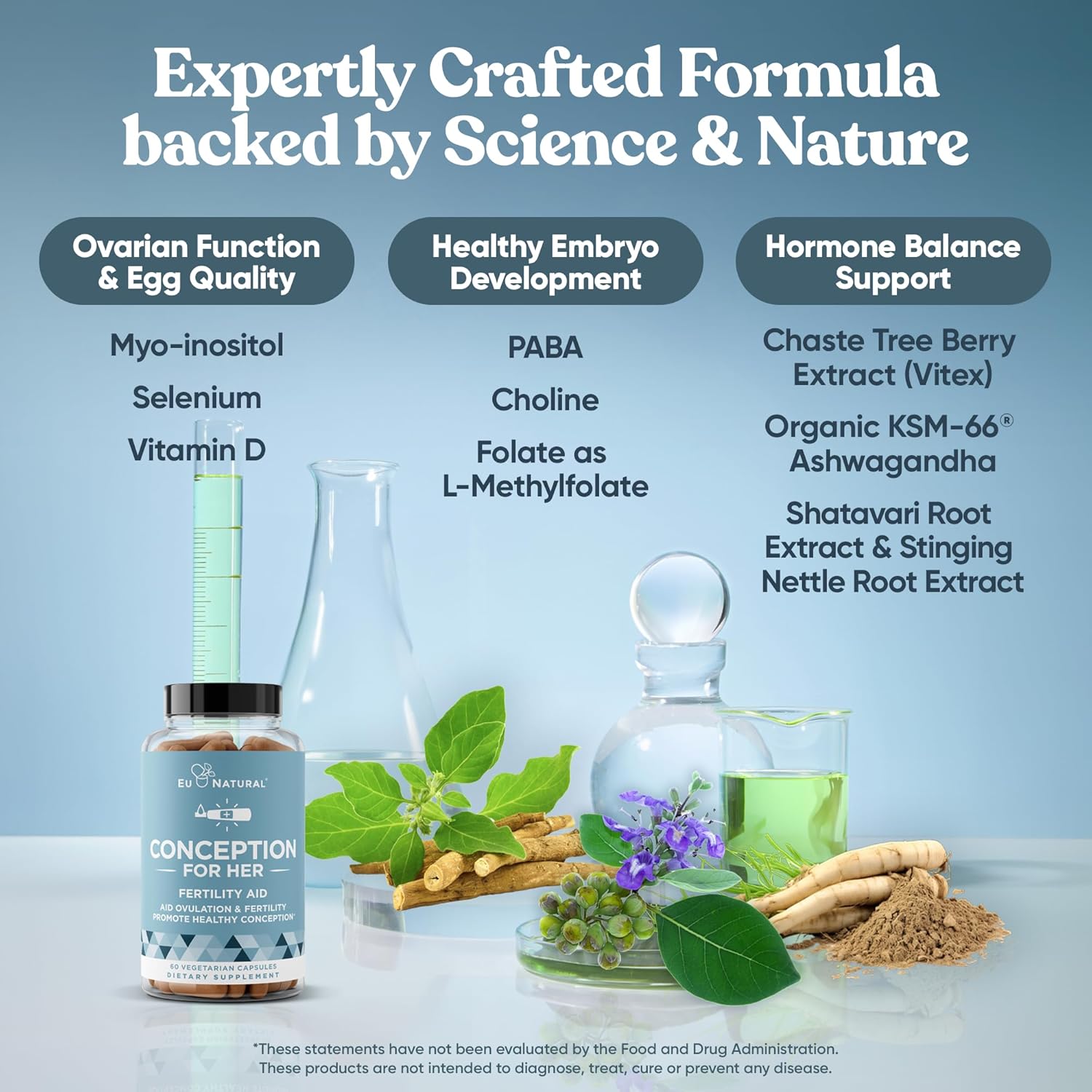 Conception Fertility Supplements For Women – Aids Ovulation, Hormonal Balance, & Regular Cycles – Prenatal Vitamin Support With Myo-Inositol, Folate, Folic Acid, Vitex – 60 Vegetarian Soft Capsules : Health & Household