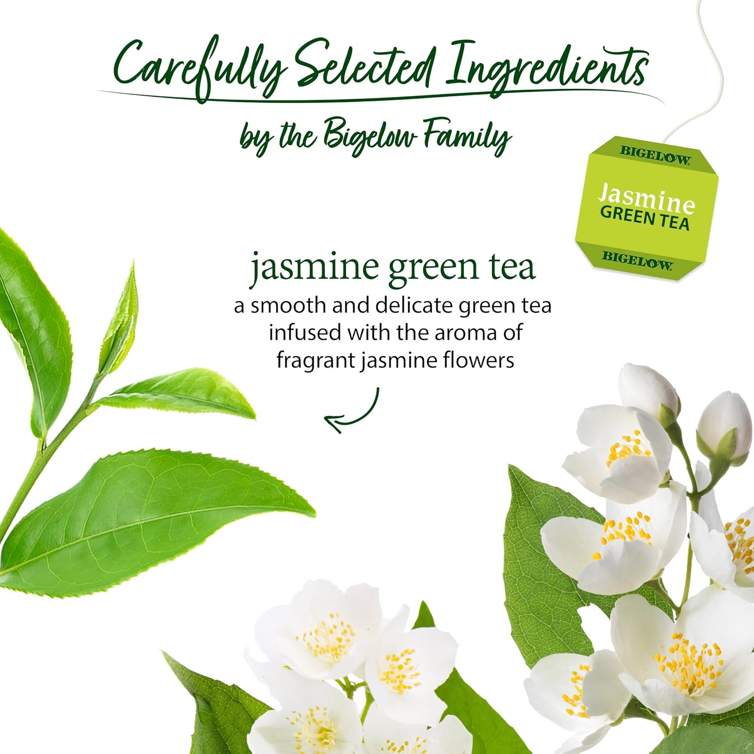 Bigelow Tea Jasmine Green Tea 20 Count (Pack of 1)