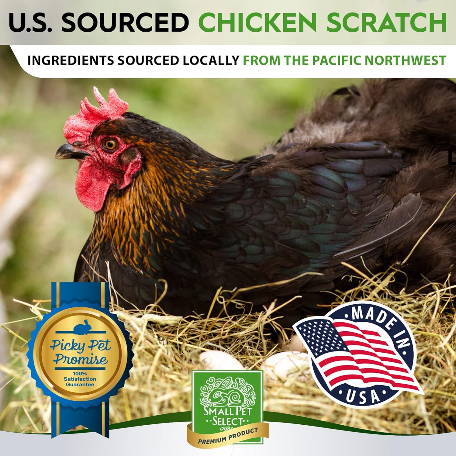 Small Pet Select Sustainable Chicken Scratch, 20lb : Pet Supplies