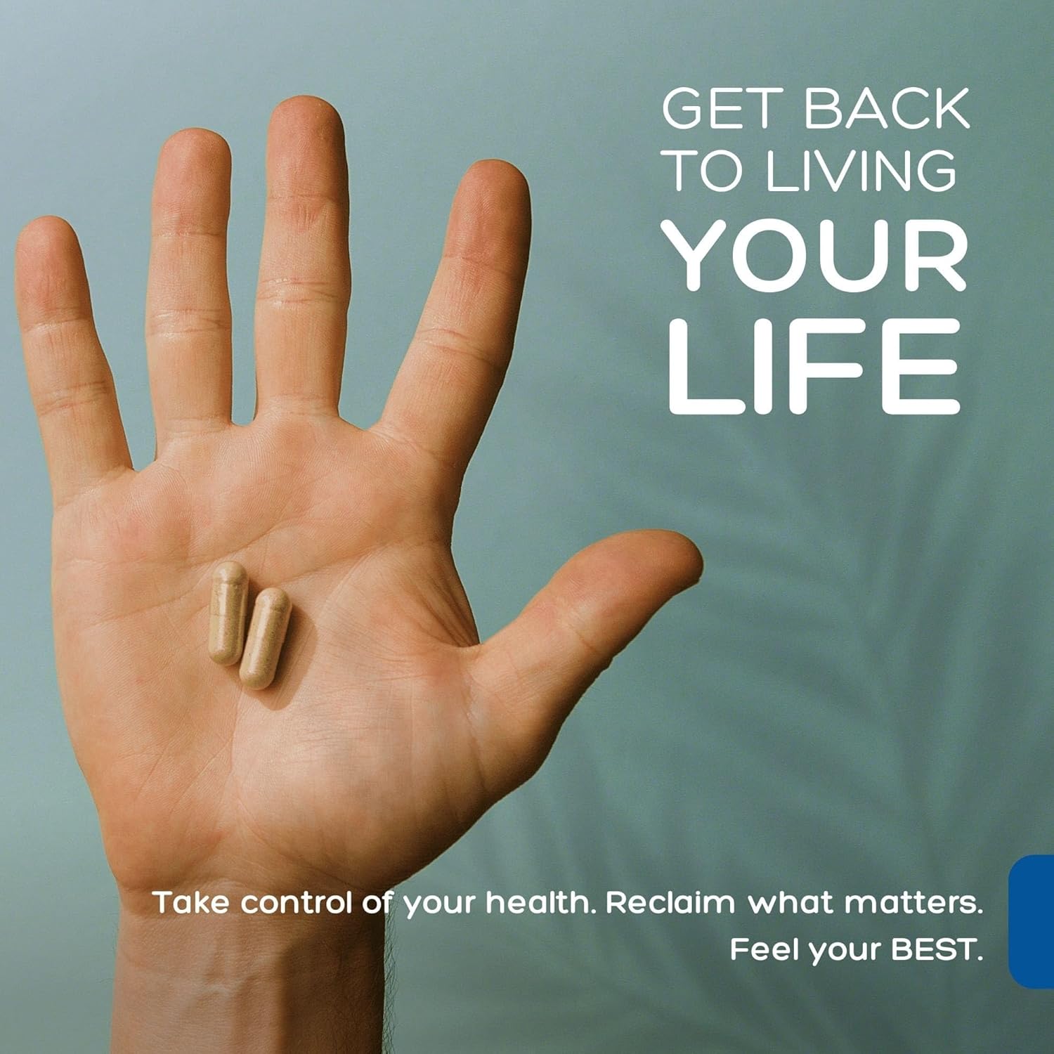 Palmara Health Premium Immune Support, 60 Capsules : Health & Household