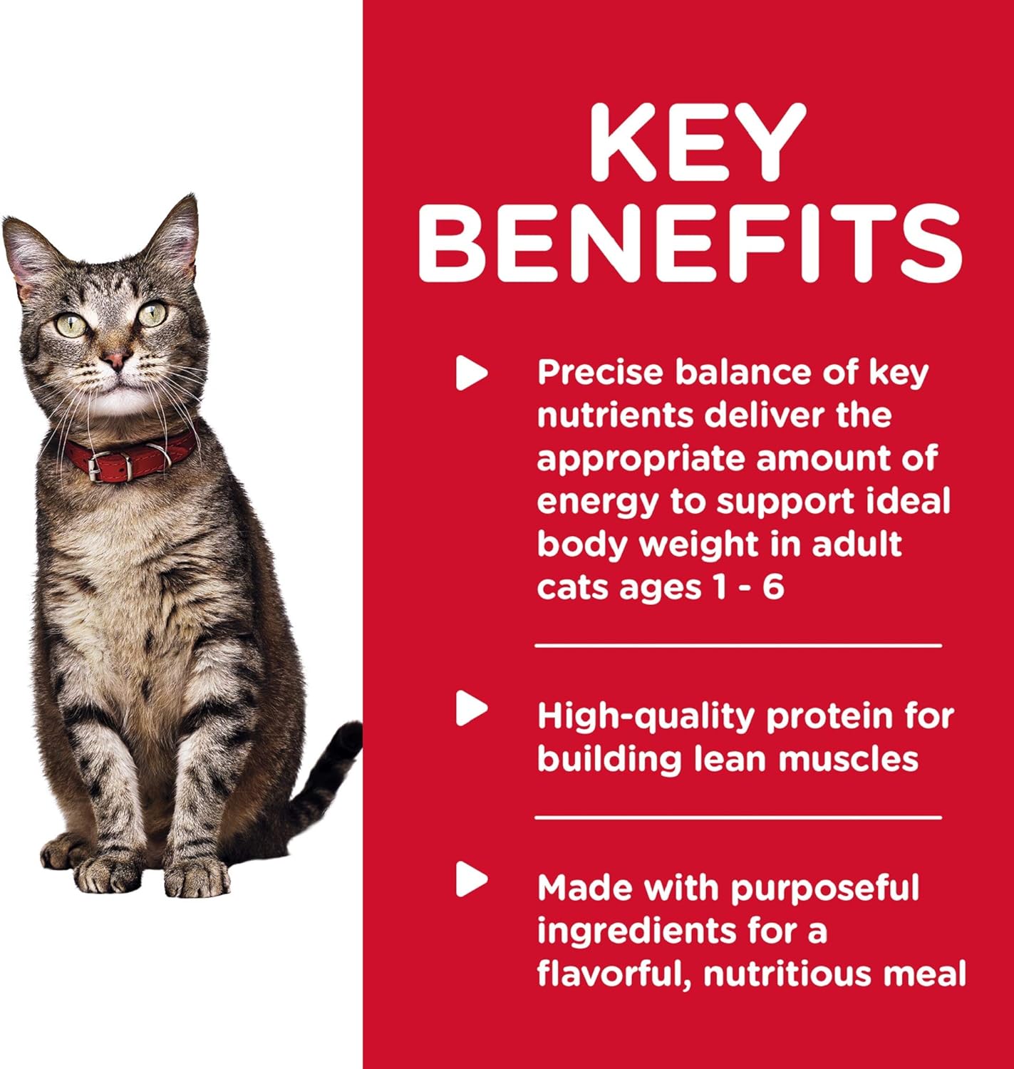 Hill's Science Diet Adult 1-6, Adult 1-6 Premium Nutrition, Wet Cat Food, Turkey & Liver Minced, 5.5 oz Can, Case of 24