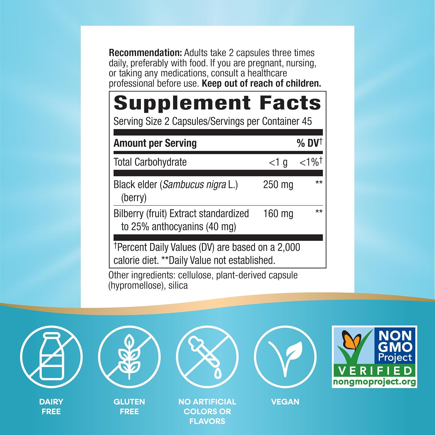 Nature's Way Bilberry Premium Extract, Supports Eye Health*, Eye Health Supplement for Adults with Black Elderberry*, Gluten Free, Vegan, 90 Capsules (Packaging May Vary) : Health & Household