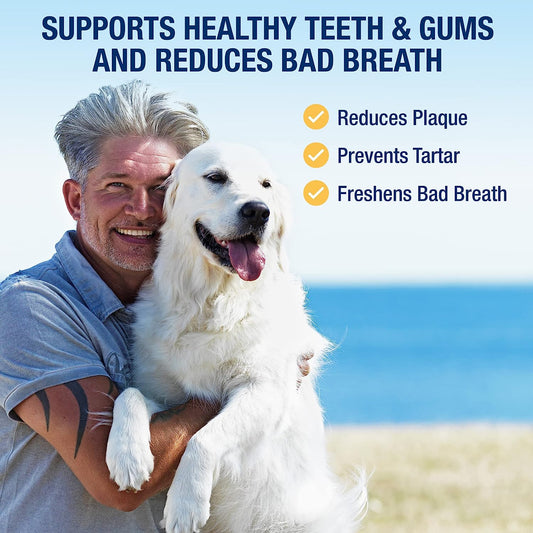 Proden Plaqueoff Powder For Pets - Cat & Dog Breath Freshener - Plaque & Tartar Remover For Pet Oral Care - Supports Healthy Mouth For Dogs - 60G