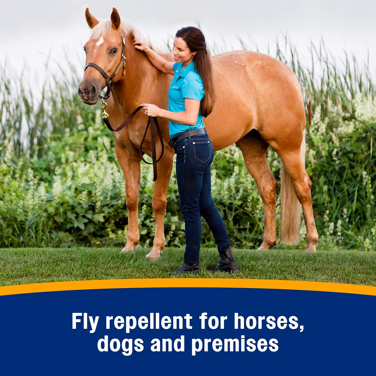 Farnam Broncoe Fly Spray Plus Citronella For Horses, Dogs & Premises - Kills Flies, Ticks, Fleas, Lice & Mosquitoes - Water-Based, Non-Oily Multi-Purpose Insecticide - 32 Oz : Farnam/Vpl Central Life Sciences: Pet Supplies