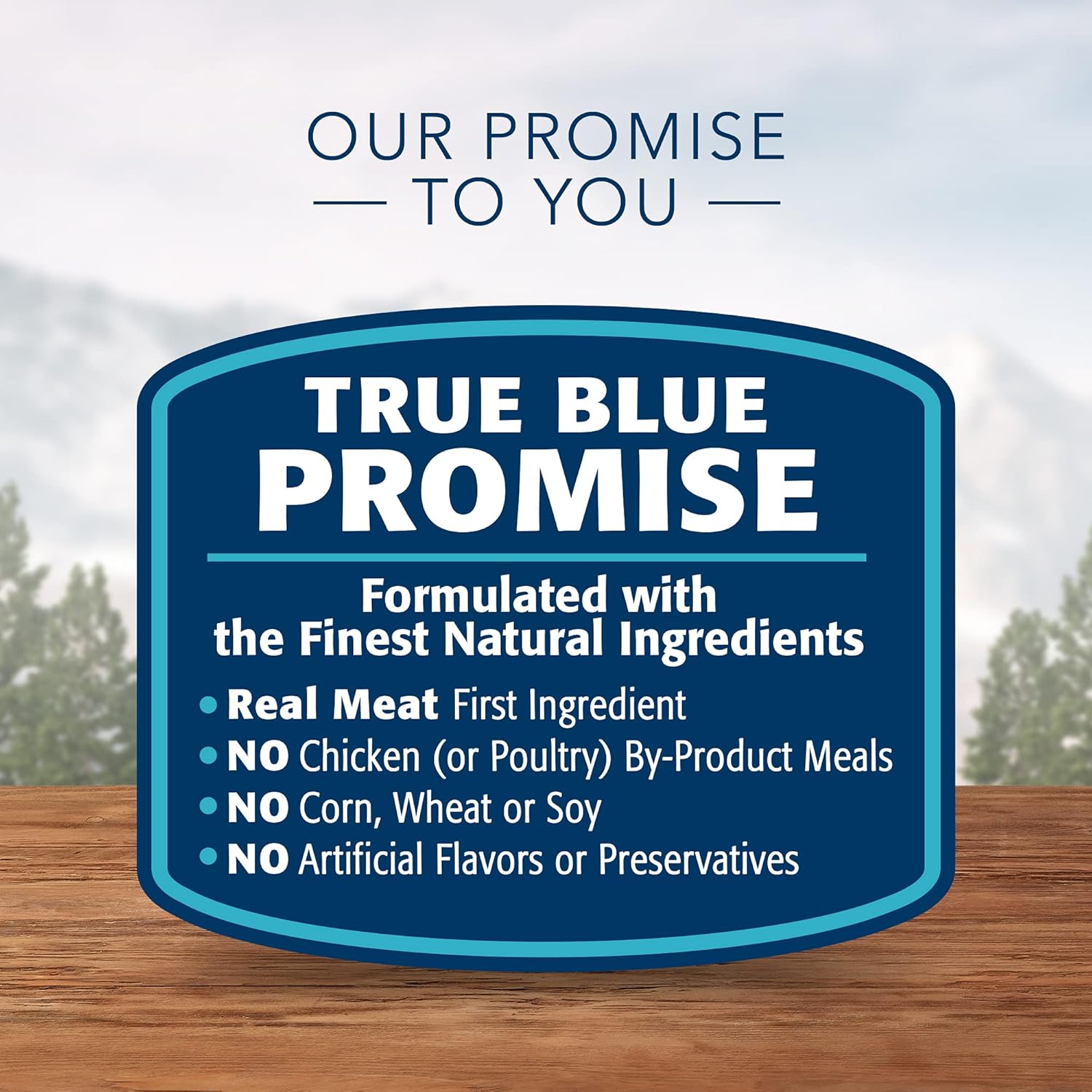 Blue Buffalo Wilderness Trail Toppers Wild Cuts High Protein, Natural Wet Dog Food Variety Pack, Beef, Salmon, Duck & Chicken, 3-oz Pouches, 24 Count