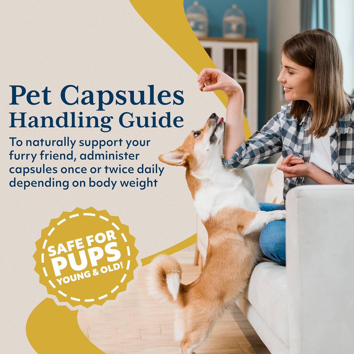Ayush Pet Mobility, Curcumin Supplement For Healthy Joints, Pure And Powerful Joint, Digestion, And Brain Support, Large Or Small Pets, 90 Capsules : Pet Supplies