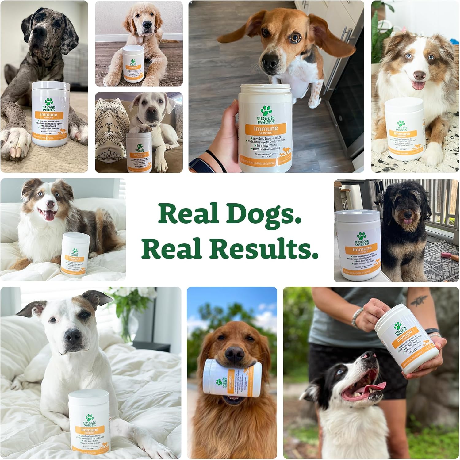 Doggie Dailies Omega 3 for Dogs, 225 Soft Chews, Salmon Oil for Dogs with Apple Cider Vinegar, Bee Pollen, Kelp, Zinc & Biotin - for Healthy Skin & Coat, Immune System & Seasonal Allergy Support : Pet Supplies