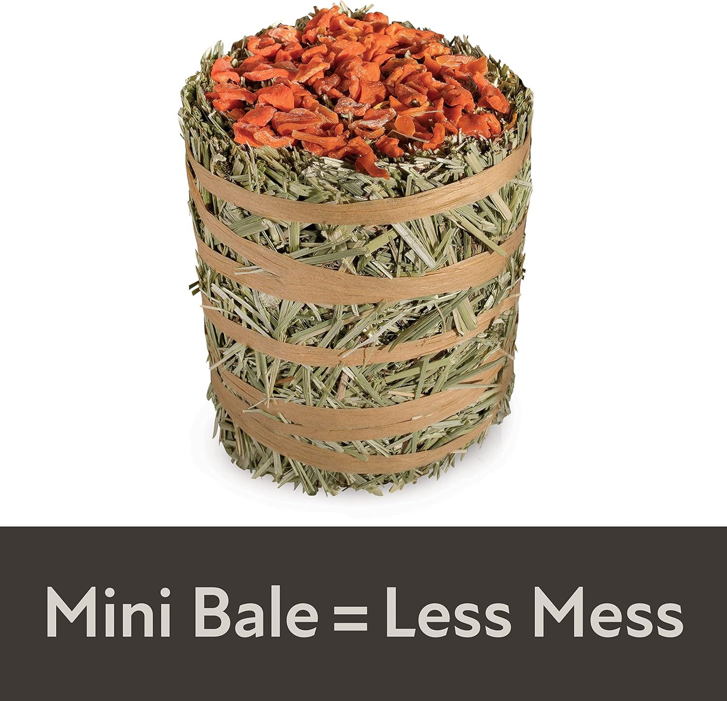 Kaytee Field+Forest Mini Hay Bale Carrot 3.5 Ounces