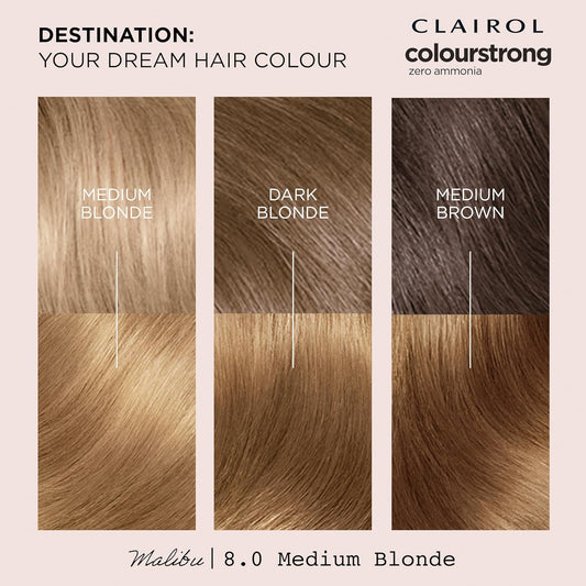Clairol Colour Strong Permanent Hair Dye - 8.0 Medium Blonde