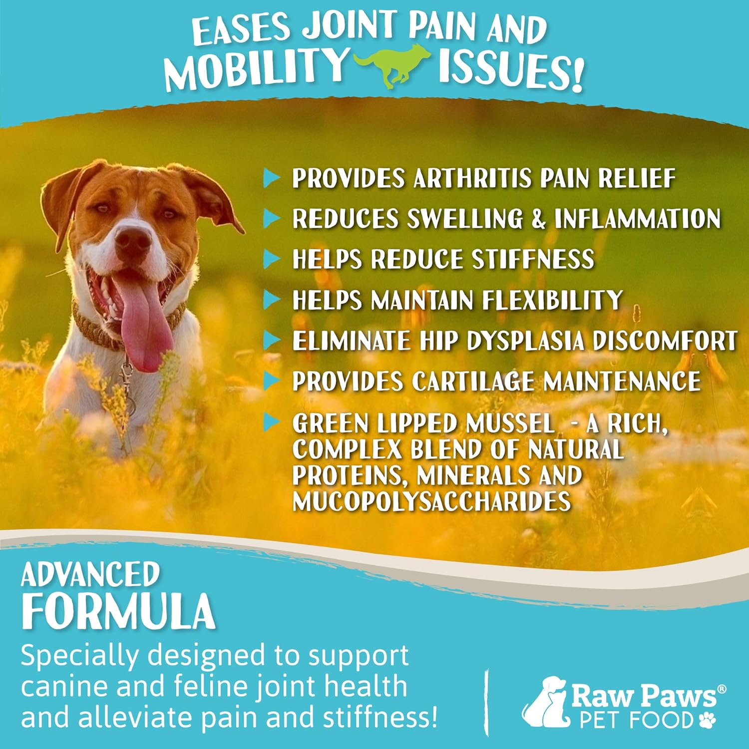 Raw Paws Green Lipped Mussel Hip and Joint Supplement for Dogs & Cats, 10-oz Powder - Green Lipped Mussels for Dogs - Natural Chondroitin Glucosamine for Dogs & Cats - Dog Joint Pain Relief for Dogs : Pet Supplies
