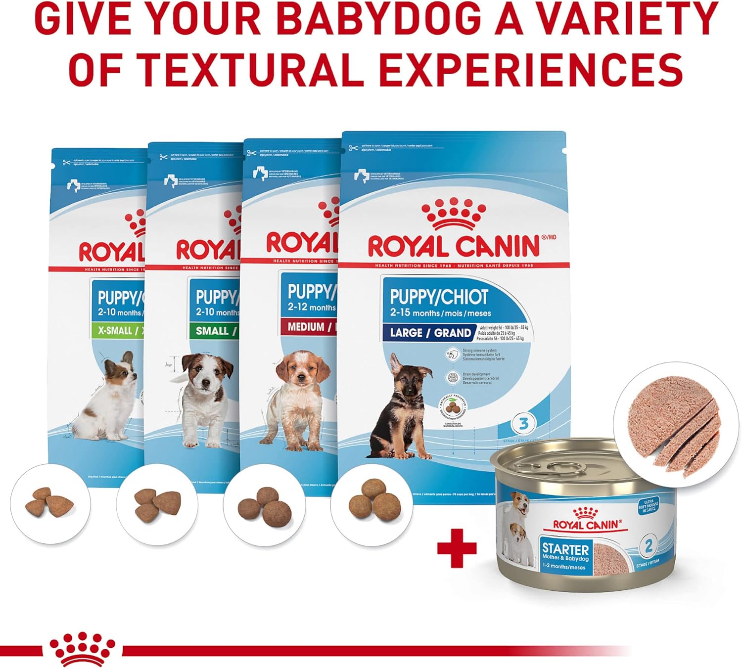 Royal Canin Size Health Nutrition Small Mother & Babydog Starter Mousse in Sauce Wet Dog Food, 5.1 oz can (24-count) : Pet Supplies