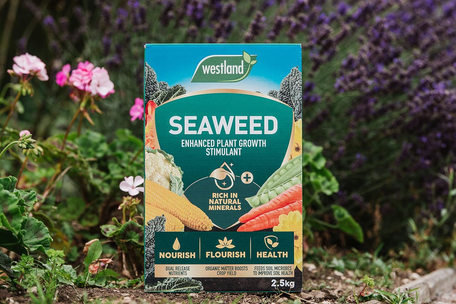 Westland Seaweed Enhanced Plant Growth Stimulant, 2.5 kg :Garden