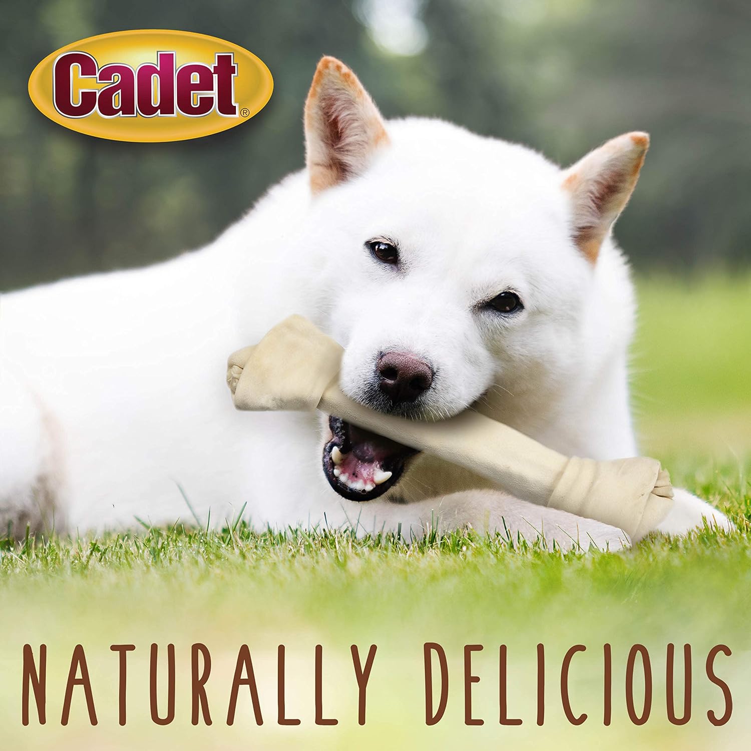 Cadet Beef Hide Knotted Dog Chews Knotted Bone Original 12-13" (1 Count) : Pet Supplies