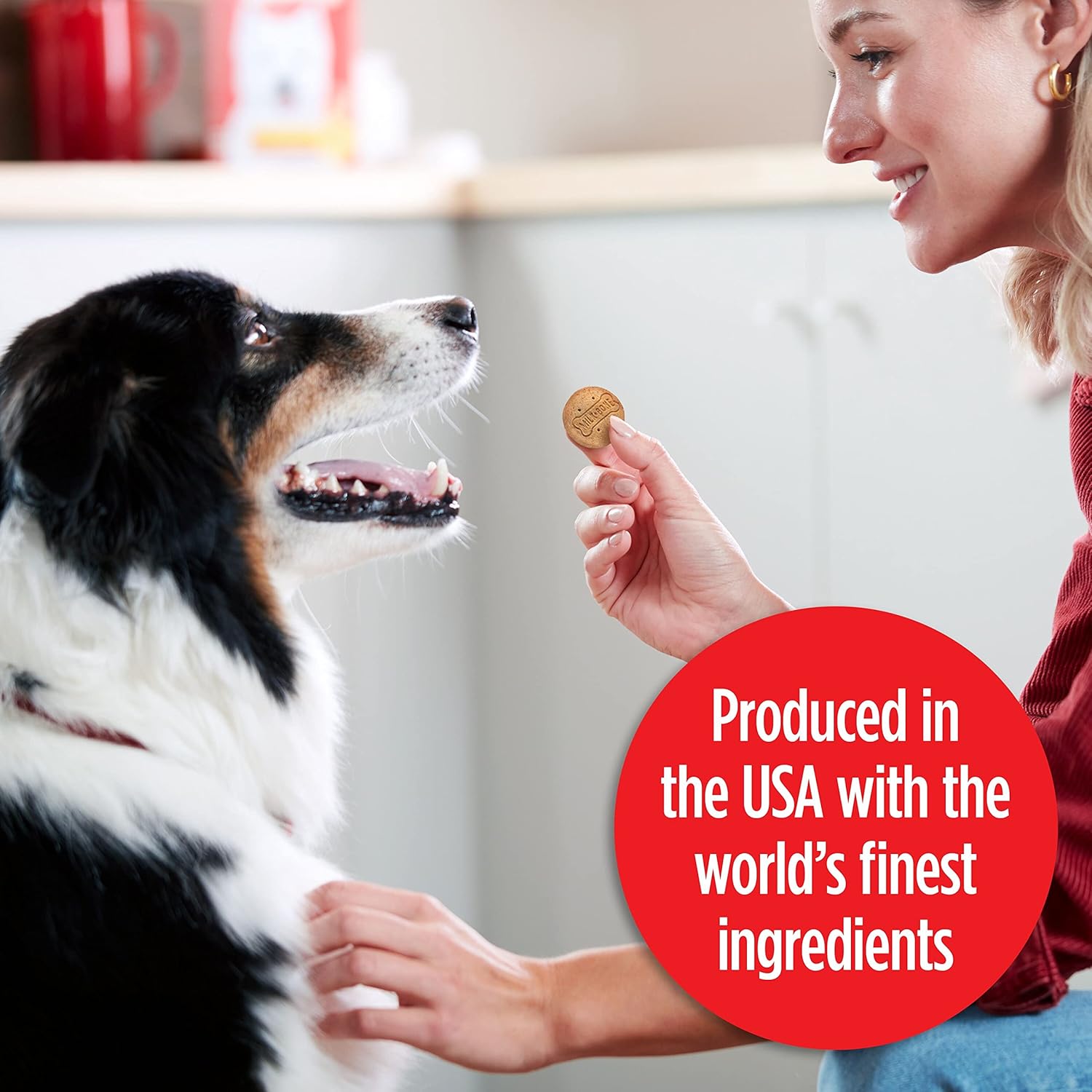 Milk-Bone Stacked Dog Treats, 30 Ounce (Pack Of 2), Crunchy Biscuit With Molasses And Peanut Butter Creamy Filling
