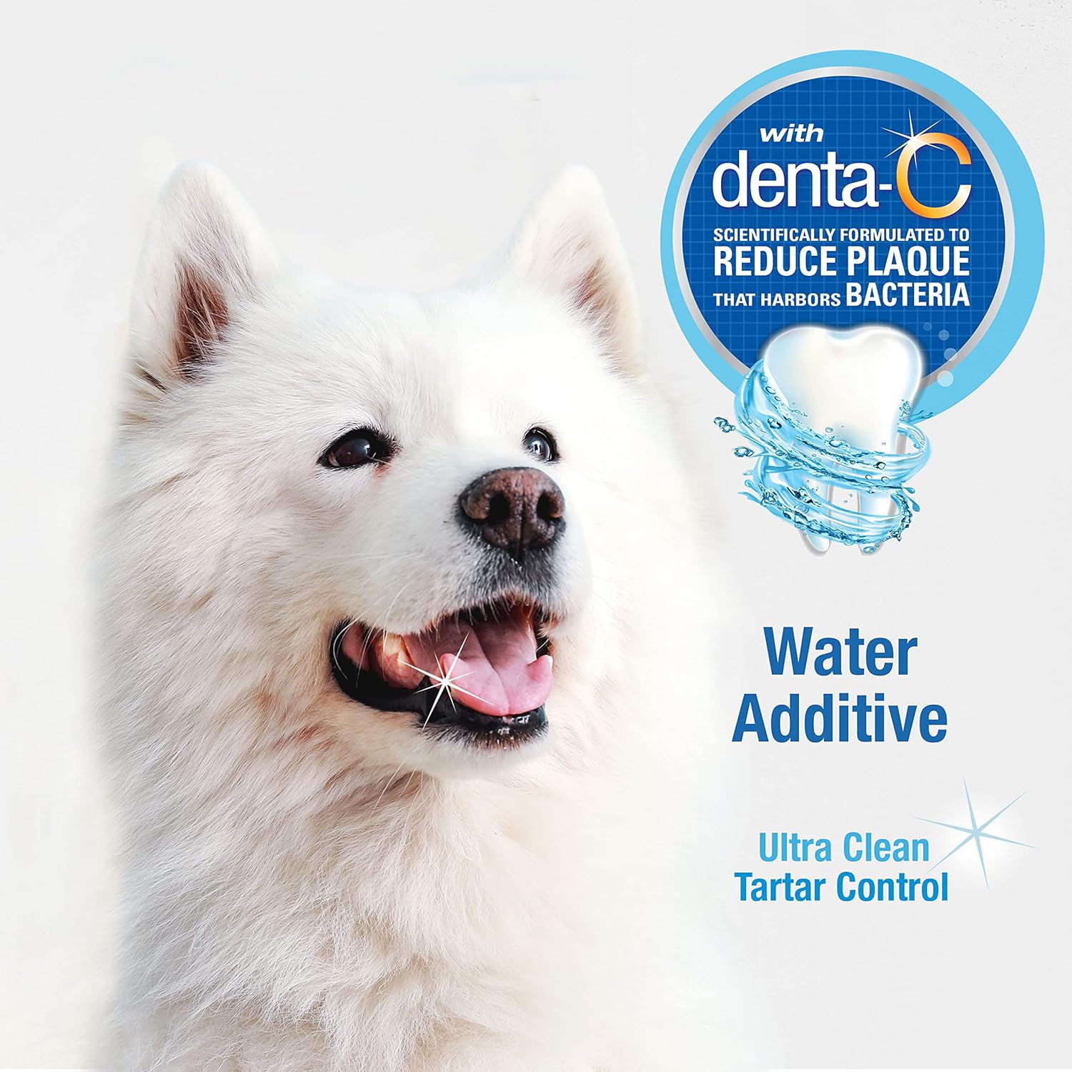 Nylabone Advanced Oral Care Dog Water Additive for Dental Care - Liquid Tartar Remover - Dog Breath Freshener & Teeth-Cleaning Liquid (16 oz.) : Pet Dental Care Supplies : Pet Supplies