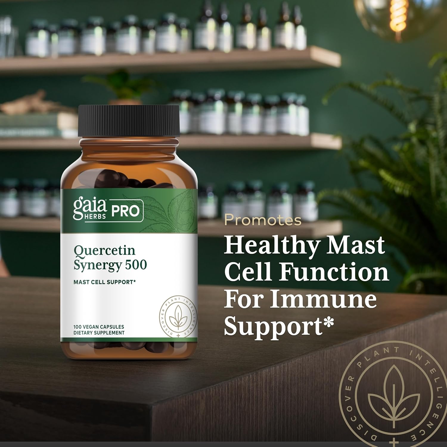 Gaia Herbs Pro Quercetin Synergy 500 - Immune System Support Supplement* - Cell Health Supplement* With Quercetin Bromelain & Turmeric - 100 Tablets (100 Servings) : Health & Household
