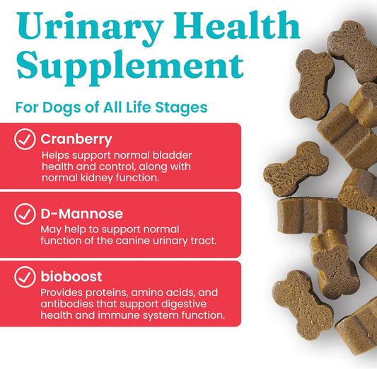 Solid Gold Cranberry Supplement for Dogs for Urinary Tract Health - Berry Balance w/Bioboost UTI + Bladder + Kidney Support for Dogs of All Life Stages w/Antioxidants - Cranberry Chews - 120 Count