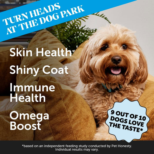 Pet Honesty Salmon Skin Health - Itch Relief For Dogs, Omega 3 Fish Oil For Dogs, Natural Salmon Oil For Dogs Chews For Healthy Skin & Coat, May Reduce Shedding, Dog Fish Oil Supplements - (90 Ct)