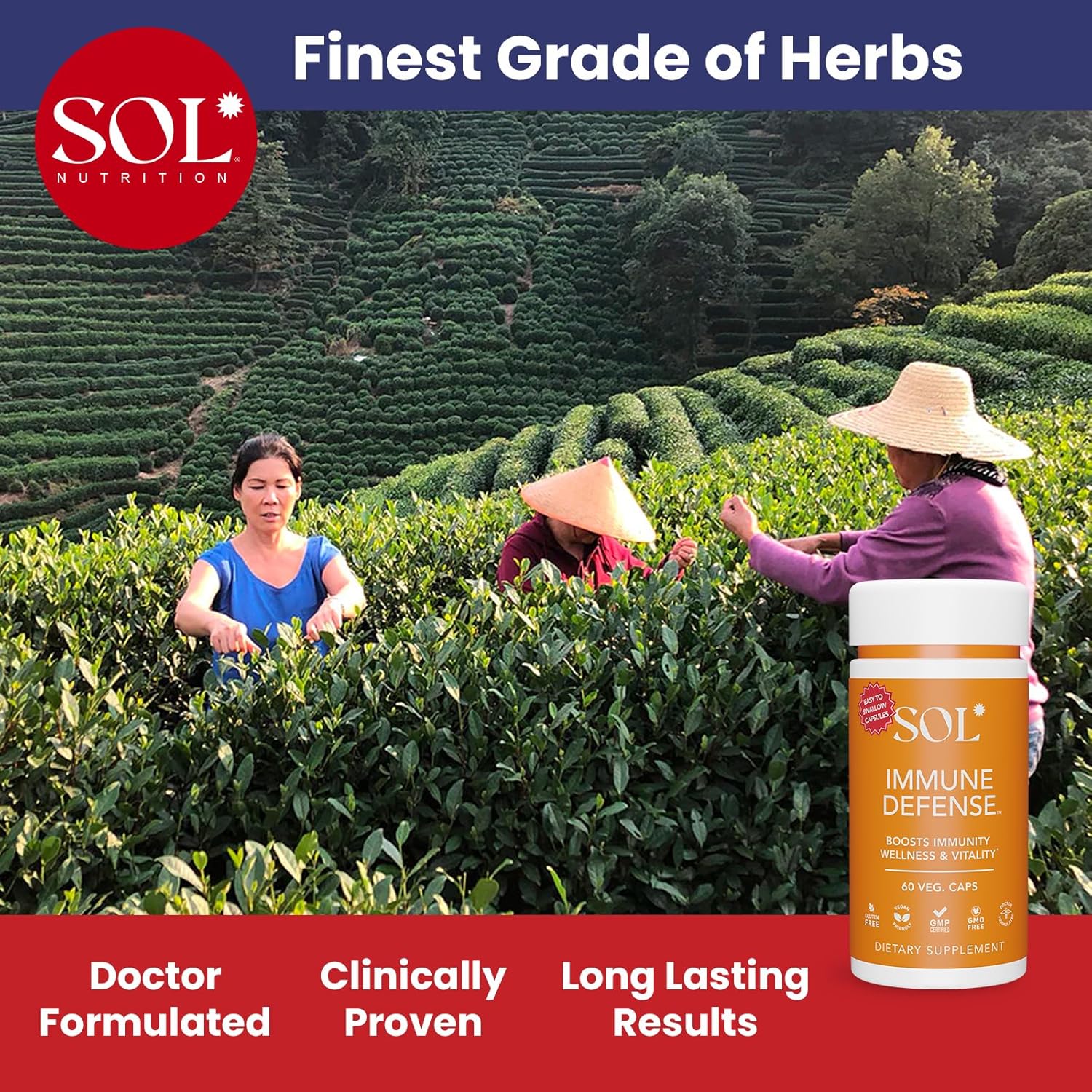 Immune Defense Supplement: Clears Allergens, Builds Strong Immune System, 15X More Powerful, Astragalus, Goto Kola, Andrographis, 60 Easy-to-Swallow Capsules, SOL Nutrition : Health & Household