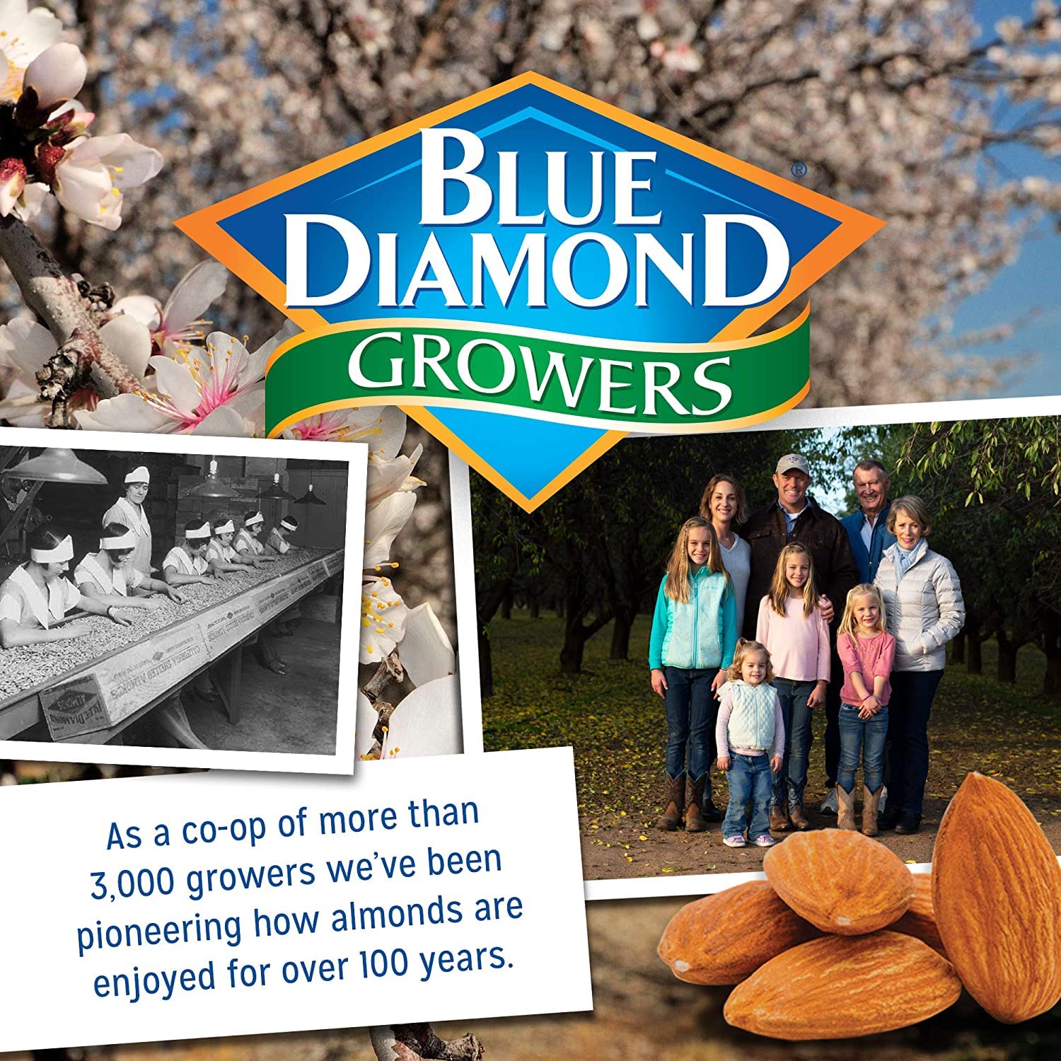 Blue Diamond Almonds, Snack Nut Flavored Honey Butter perfect for on-the-go and snacking, 6 Ounce Can : Grocery & Gourmet Food