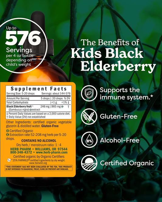 Herb Pharm Kids Certified-Organic Alcohol-Free Black Elderberry Glycerite Liquid Extract, 4 Ounce